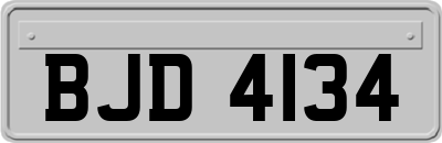 BJD4134