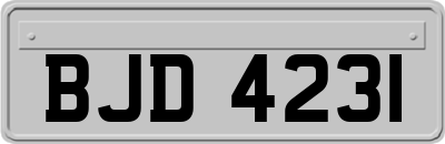 BJD4231