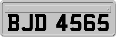 BJD4565