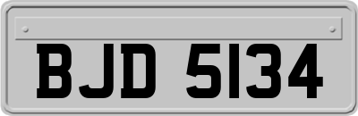 BJD5134