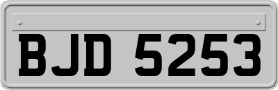 BJD5253