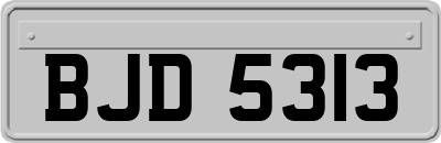 BJD5313