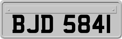 BJD5841