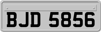 BJD5856