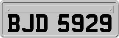 BJD5929