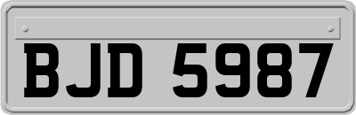 BJD5987