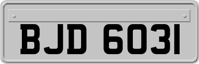 BJD6031