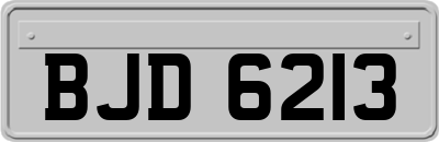 BJD6213