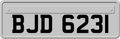 BJD6231