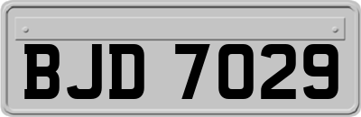BJD7029