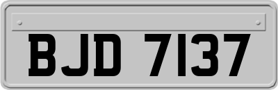 BJD7137
