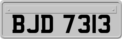 BJD7313