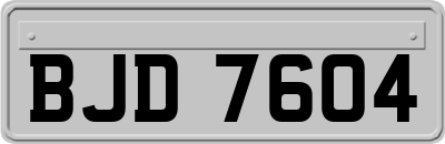 BJD7604