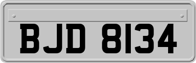 BJD8134