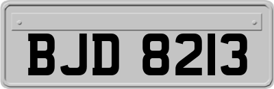 BJD8213