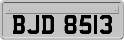 BJD8513