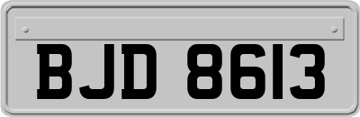 BJD8613