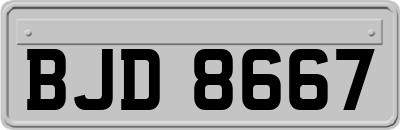 BJD8667