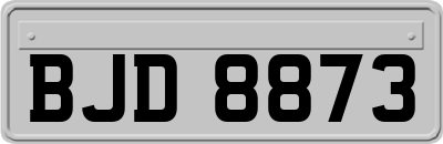 BJD8873