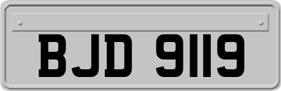 BJD9119