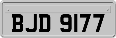 BJD9177