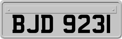 BJD9231