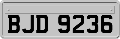 BJD9236