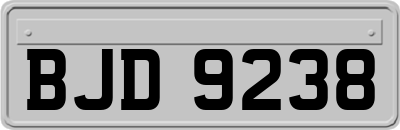 BJD9238