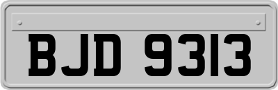 BJD9313
