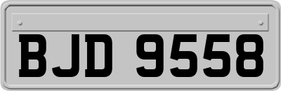 BJD9558