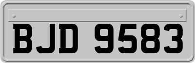 BJD9583