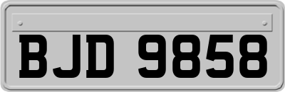 BJD9858
