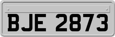 BJE2873
