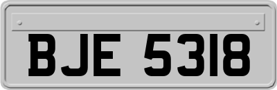 BJE5318