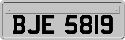 BJE5819