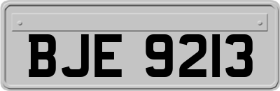 BJE9213