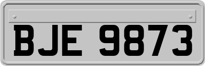 BJE9873