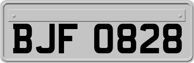 BJF0828