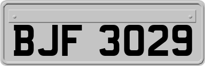 BJF3029