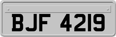 BJF4219