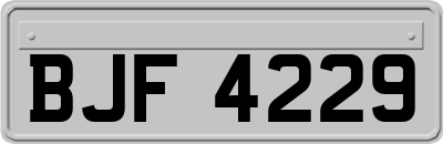 BJF4229