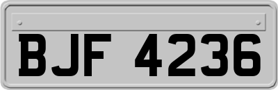 BJF4236