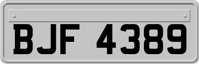 BJF4389