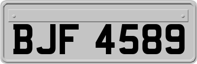 BJF4589