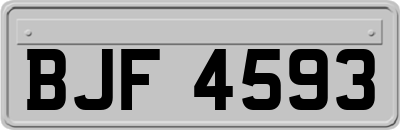 BJF4593