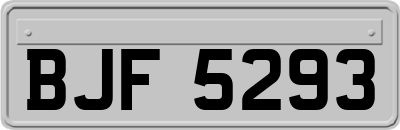 BJF5293