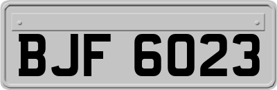 BJF6023