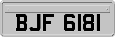 BJF6181