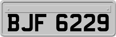 BJF6229