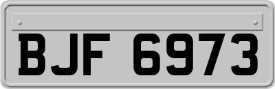 BJF6973